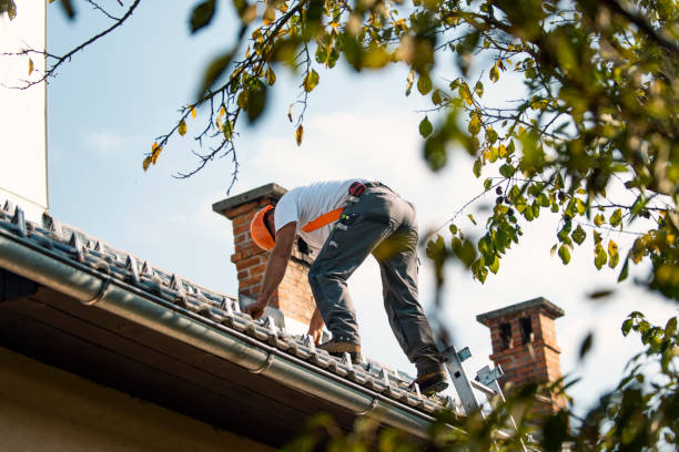 Best Residential Roof Replacement  in Stevenson, WA