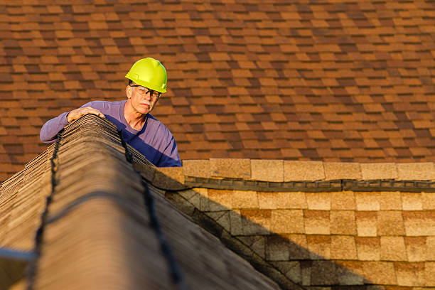 Best Metal Roofing Contractor  in Stevenson, WA